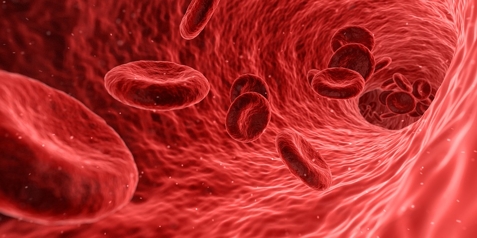 Krvné bunky